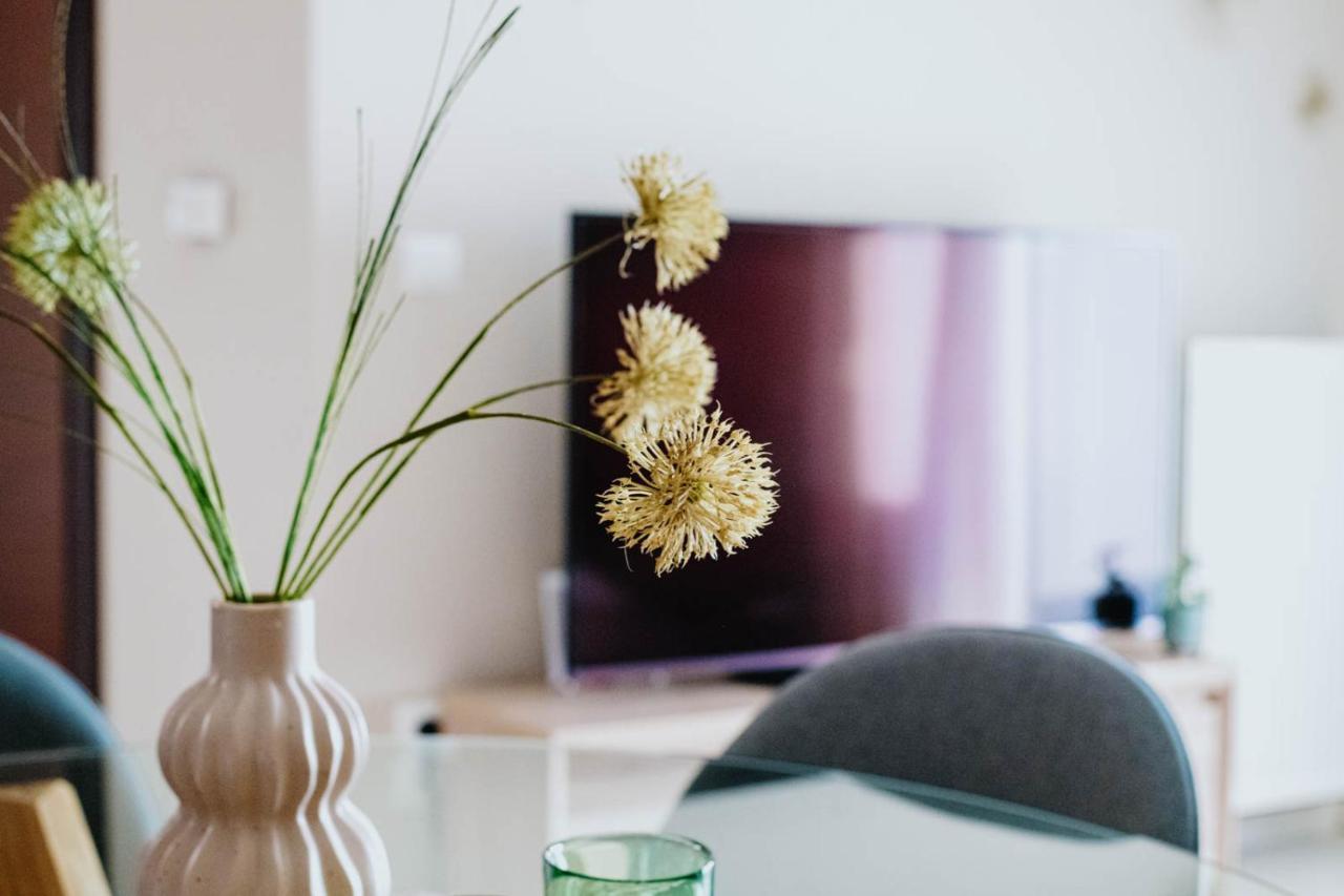 Sunny Days Apartment أليكسانثيربوليس المظهر الخارجي الصورة